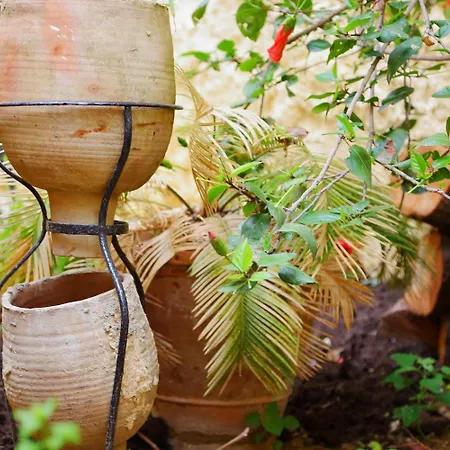 Il Melograno Antico Con Terrazza E Giardino B&B 아그리젠토