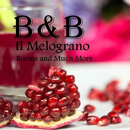 Bed & Breakfast Il Melograno Antico Con Terrazza E Giardino 3*